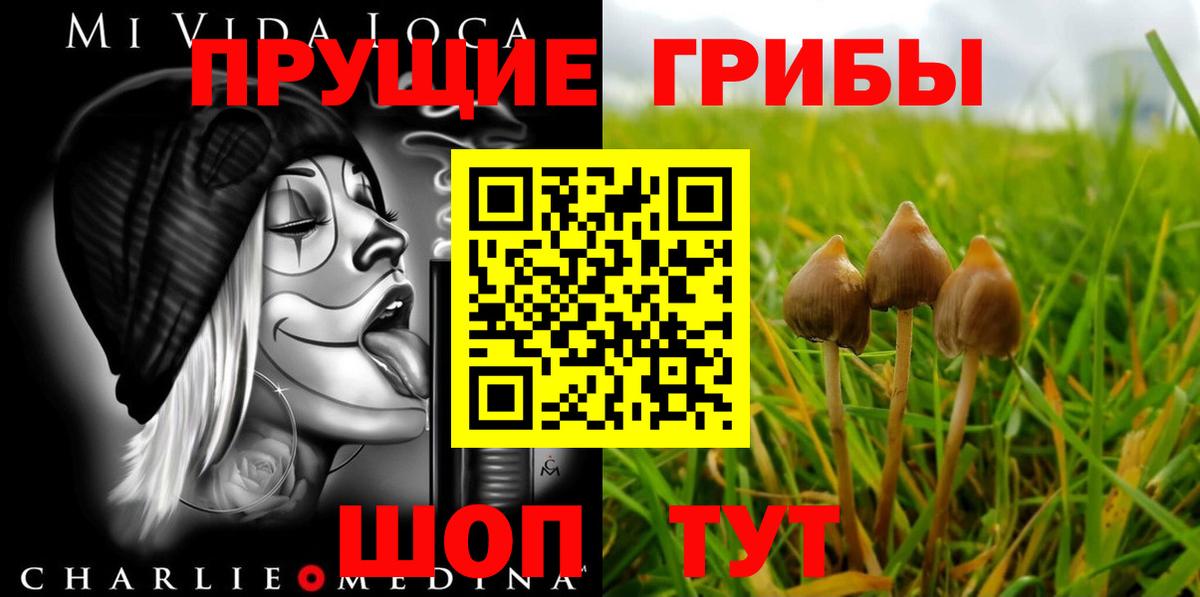 Галлюциногенные грибы Psilocybine cubensis Похвистнево